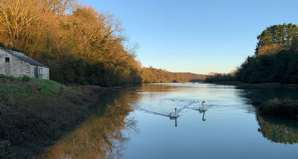 Situated on a tidal creek, observe wildlife in its’ natural habitat
