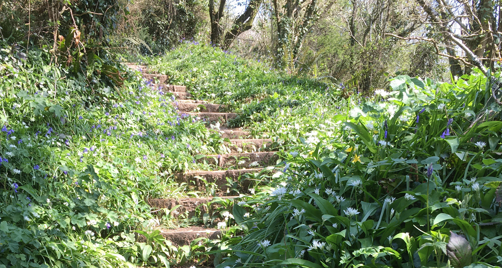 Local-area-the-saints-way